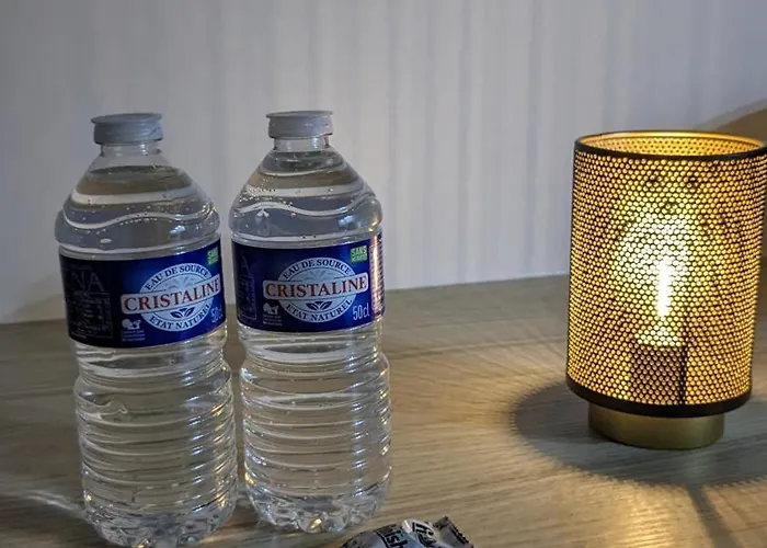 Apartment La Fleche Saint Vivien: Hypercentre & Cathedrale *