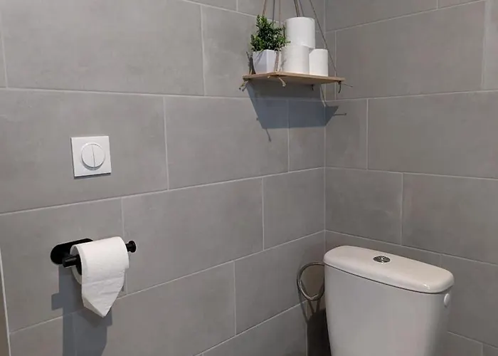 La Fleche Saint Vivien: Hypercentre & Cathedrale Apartment