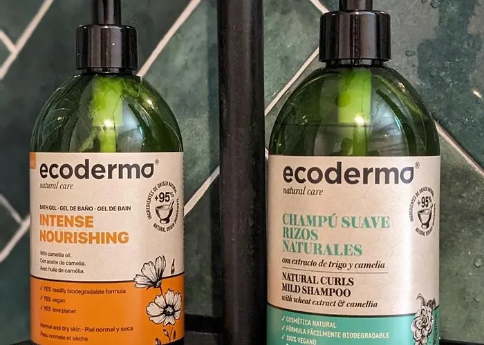 Appartement La Fleche Saint Vivien: Hypercentre & Cathedrale Rouen